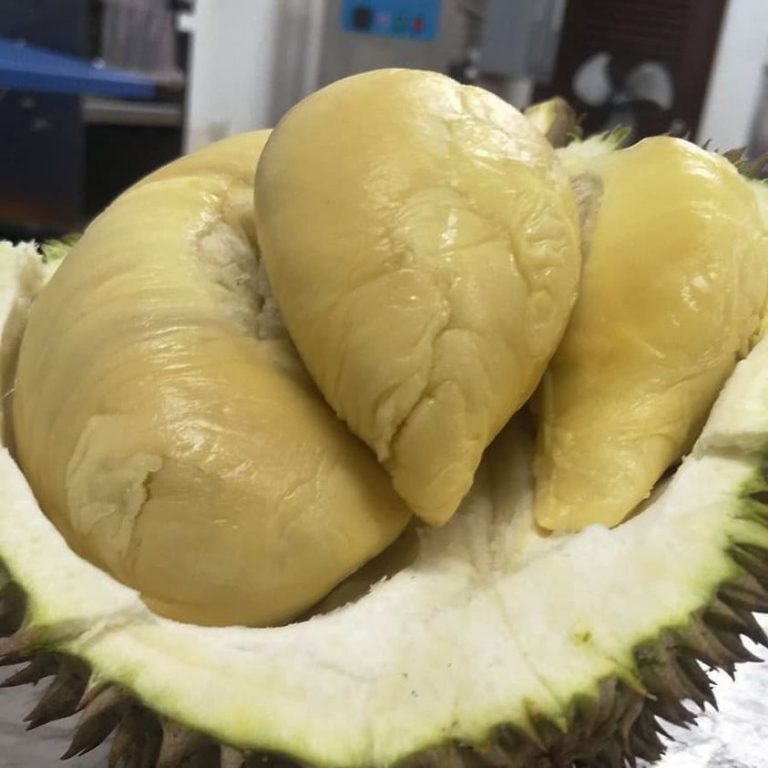 XO fresh (400g) SS2 Durian House Stall